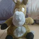 Zhi-Jia (Willy) Yang